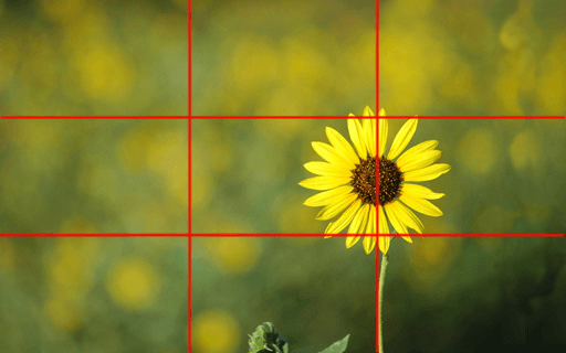 Primer plano de una cámara DSLR profesional con un objetivo, utilizada para fotografía de producto de alta calidad en e-commerce.